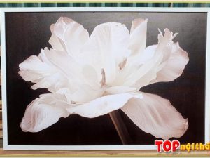 Tranh canvas phòng ngủ hoa màu trắng TraTop-1502